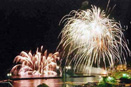 Fuochi d'artificio di fronte all'Hotel